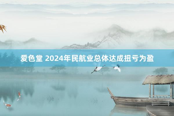 爱色堂 2024年民航业总体达成扭亏为盈