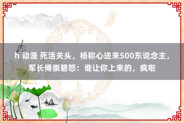 h 动漫 死活关头，杨称心送来500东说念主，军长傅崇碧怒：谁让你上来的，疯啦