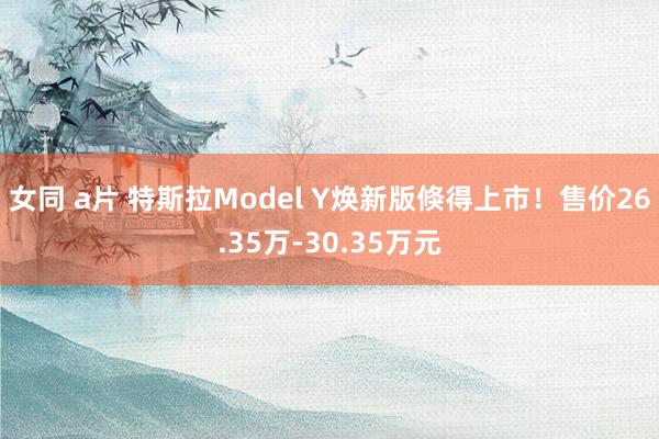 女同 a片 特斯拉Model Y焕新版倏得上市！售价26.35万-30.35万元