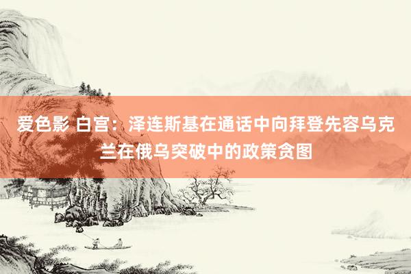 爱色影 白宫：泽连斯基在通话中向拜登先容乌克兰在俄乌突破中的政策贪图