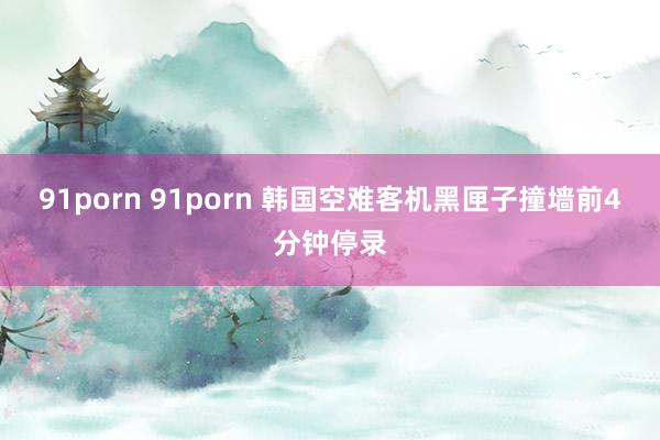 91porn 91porn 韩国空难客机黑匣子撞墙前4分钟停录