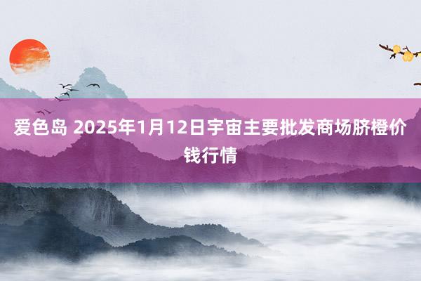 爱色岛 2025年1月12日宇宙主要批发商场脐橙价钱行情