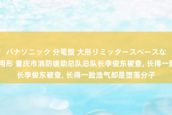パナソニック 分電盤 大形リミッタースペースなし 露出・半埋込両用形 重庆市消防缓助总队总队长李俊东被查， 长得一脸浩气却是堕落分子