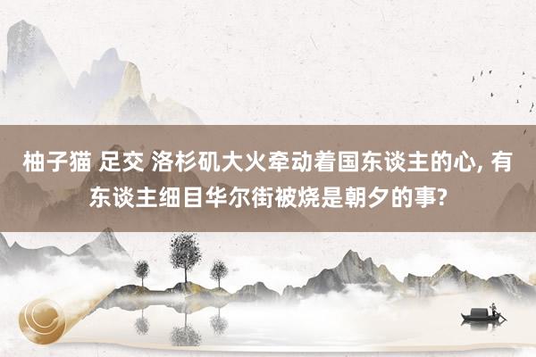 柚子猫 足交 洛杉矶大火牵动着国东谈主的心， 有东谈主细目华尔街被烧是朝夕的事?