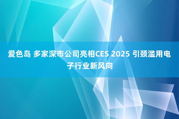 爱色岛 多家深市公司亮相CES 2025 引颈滥用电子行业新风向