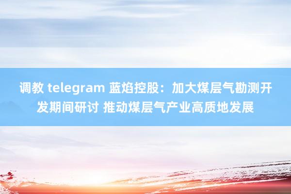 调教 telegram 蓝焰控股：加大煤层气勘测开发期间研讨 推动煤层气产业高质地发展