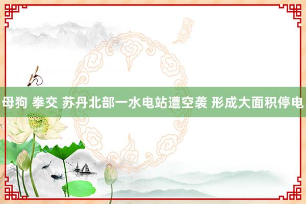 母狗 拳交 苏丹北部一水电站遭空袭 形成大面积停电