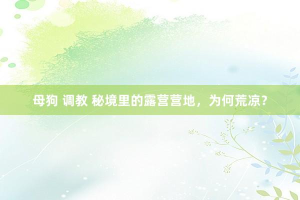母狗 调教 秘境里的露营营地，为何荒凉？