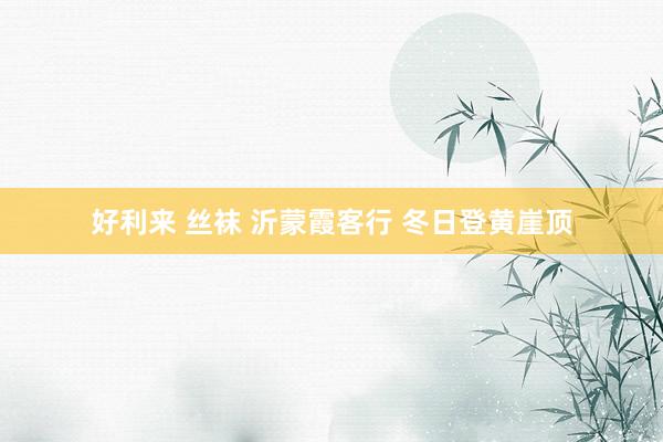 好利来 丝袜 沂蒙霞客行 冬日登黄崖顶