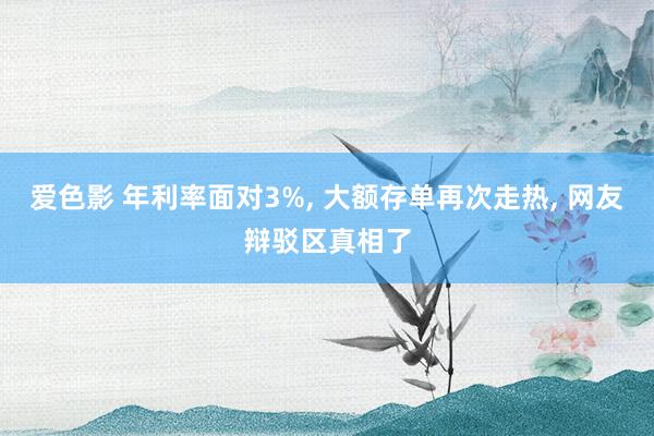 爱色影 年利率面对3%， 大额存单再次走热， 网友辩驳区真相了