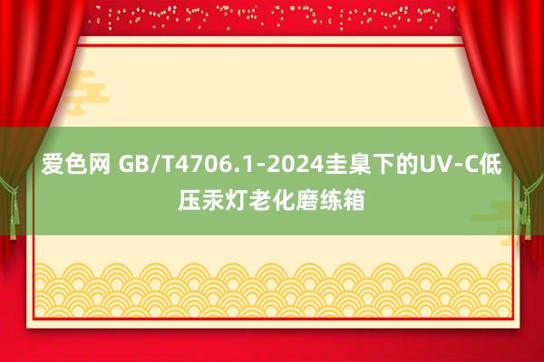 爱色网 GB/T4706.1-2024圭臬下的UV-C低压汞灯老化磨练箱
