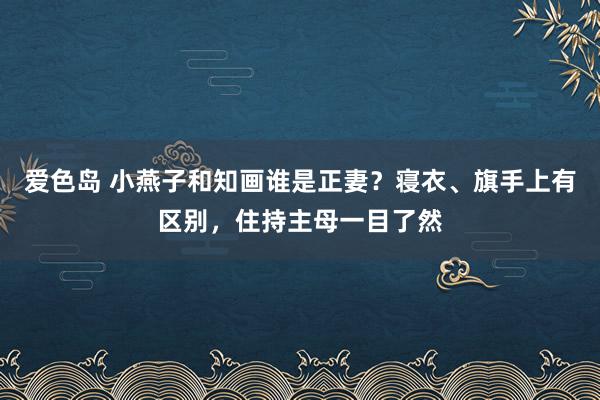 爱色岛 小燕子和知画谁是正妻？寝衣、旗手上有区别，住持主母一目了然