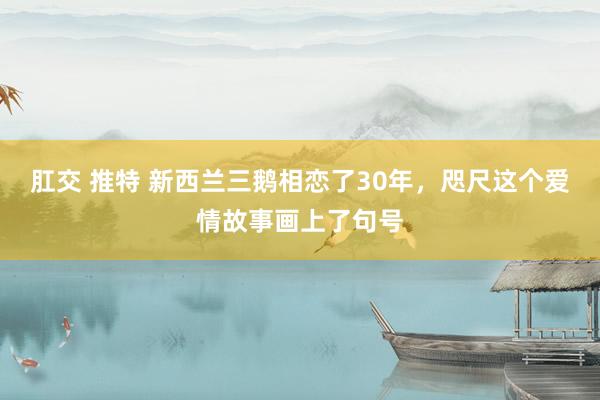 肛交 推特 新西兰三鹅相恋了30年，咫尺这个爱情故事画上了句号