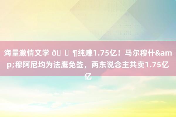 海量激情文学 😶纯赚1.75亿！马尔穆什&穆阿尼均为法鹰免签，两东说念主共卖1.75亿