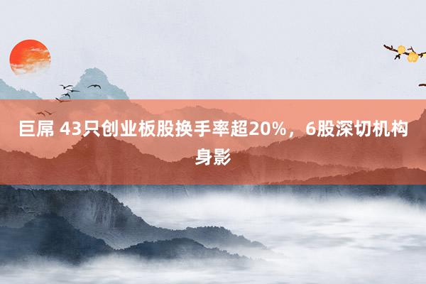 巨屌 43只创业板股换手率超20%，6股深切机构身影