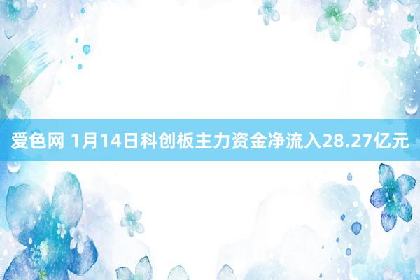 爱色网 1月14日科创板主力资金净流入28.27亿元
