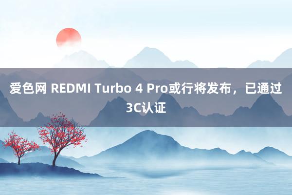 爱色网 REDMI Turbo 4 Pro或行将发布，已通过3C认证