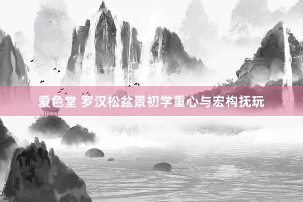 爱色堂 罗汉松盆景初学重心与宏构抚玩