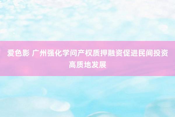 爱色影 广州强化学问产权质押融资促进民间投资高质地发展