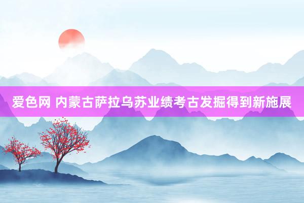 爱色网 内蒙古萨拉乌苏业绩考古发掘得到新施展