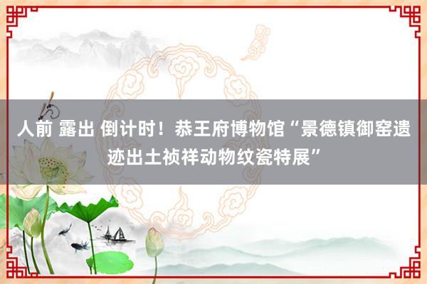 人前 露出 倒计时！恭王府博物馆“景德镇御窑遗迹出土祯祥动物纹瓷特展”