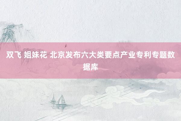 双飞 姐妹花 北京发布六大类要点产业专利专题数据库