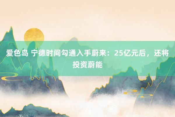 爱色岛 宁德时间勾通入手蔚来：25亿元后，还将投资蔚能