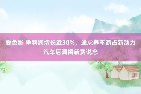 爱色影 净利润增长近30%，途虎养车霸占新动力汽车后阛阓新赛说念