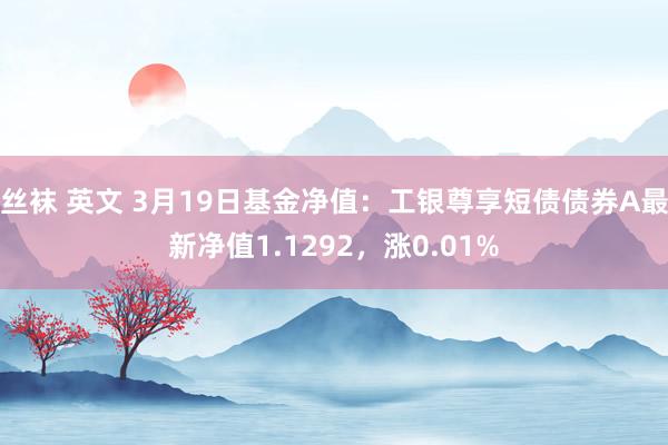 丝袜 英文 3月19日基金净值：工银尊享短债债券A最新净值1.1292，涨0.01%