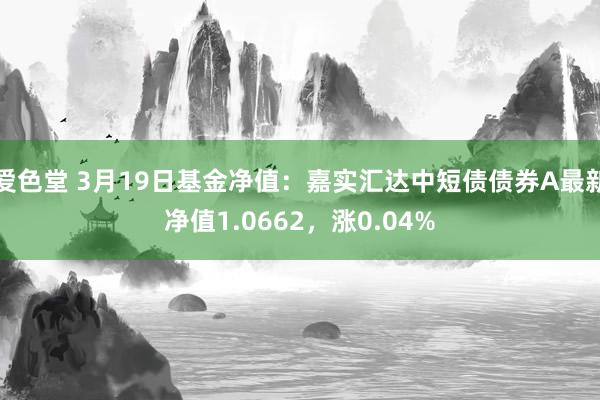 爱色堂 3月19日基金净值：嘉实汇达中短债债券A最新净值1.0662，涨0.04%
