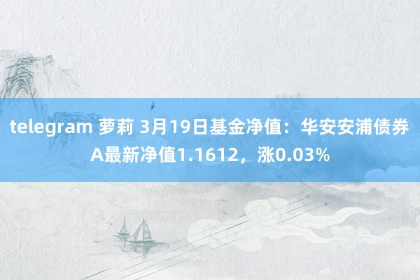 telegram 萝莉 3月19日基金净值：华安安浦债券A最新净值1.1612，涨0.03%
