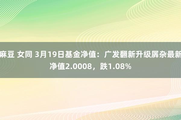 麻豆 女同 3月19日基金净值：广发翻新升级羼杂最新净值2.0008，跌1.08%