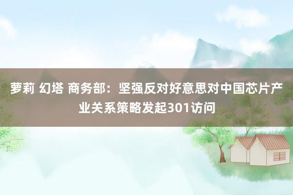 萝莉 幻塔 商务部：坚强反对好意思对中国芯片产业关系策略发起301访问