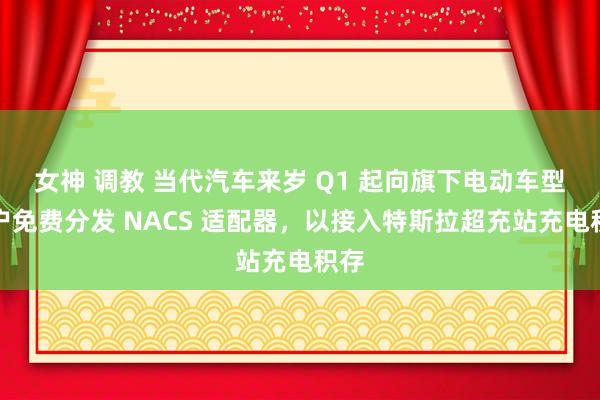 女神 调教 当代汽车来岁 Q1 起向旗下电动车型客户免费分发 NACS 适配器，以接入特斯拉超充站充电积存