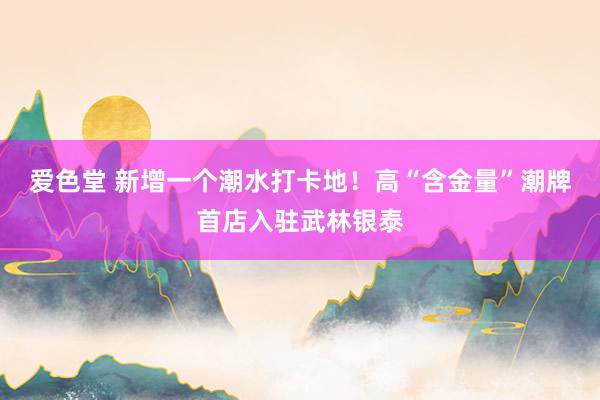 爱色堂 新增一个潮水打卡地！高“含金量”潮牌首店入驻武林银泰