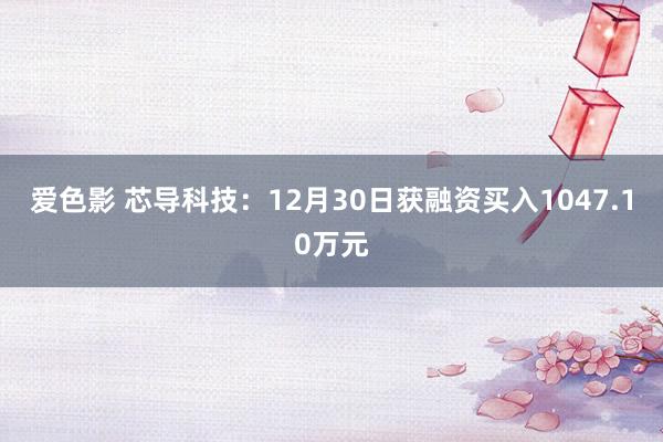 爱色影 芯导科技：12月30日获融资买入1047.10万元
