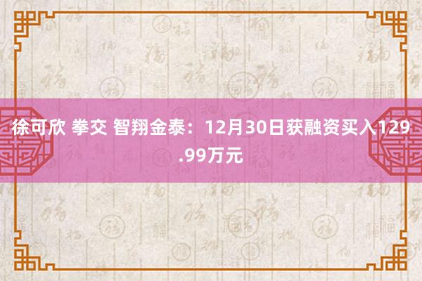 徐可欣 拳交 智翔金泰：12月30日获融资买入129.99万元