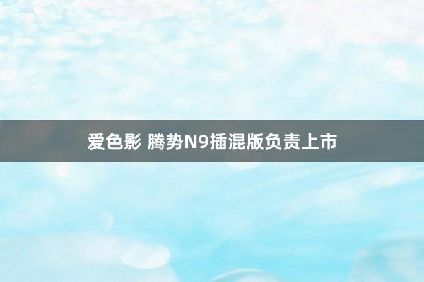 爱色影 腾势N9插混版负责上市