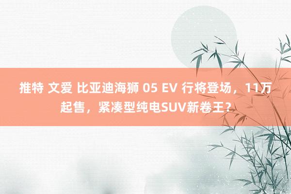 推特 文爱 比亚迪海狮 05 EV 行将登场,11万起售,紧凑型纯电SUV新卷王?