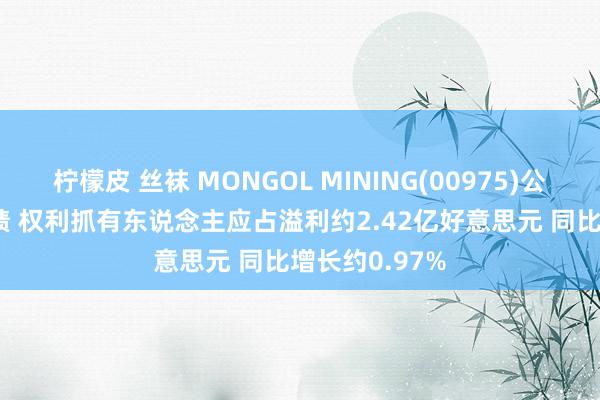 柠檬皮 丝袜 MONGOL MINING(00975)公布2024年功绩 权利抓有东说念主应占溢利约2.42亿好意思元 同比增长约0.97%