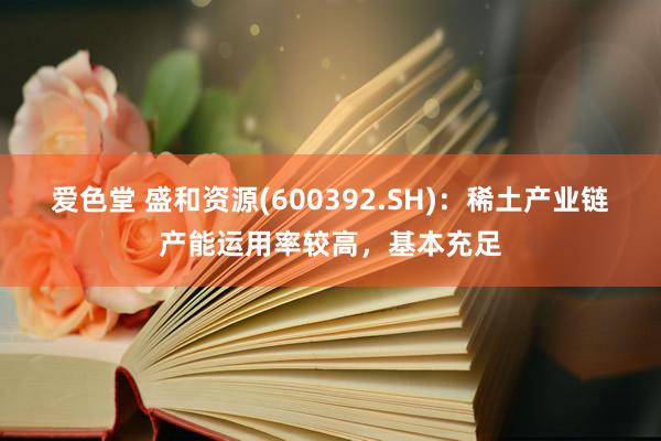 爱色堂 盛和资源(600392.SH)：稀土产业链产能运用率较高，基本充足