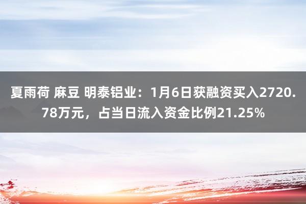 夏雨荷 麻豆 明泰铝业：1月6日获融资买入2720.78万元，占当日流入资金比例21.25%