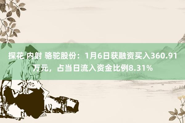 探花 内射 骆驼股份：1月6日获融资买入360.91万元，占当日流入资金比例8.31%