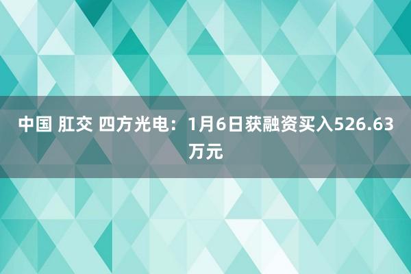 中国 肛交 四方光电：1月6日获融资买入526.63万元