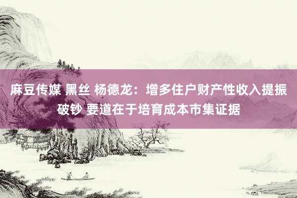 麻豆传媒 黑丝 杨德龙：增多住户财产性收入提振破钞 要道在于培育成本市集证据
