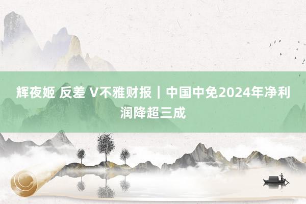 辉夜姬 反差 V不雅财报｜中国中免2024年净利润降超三成