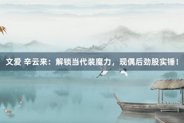 文爱 辛云来：解锁当代装魔力，现偶后劲股实锤！