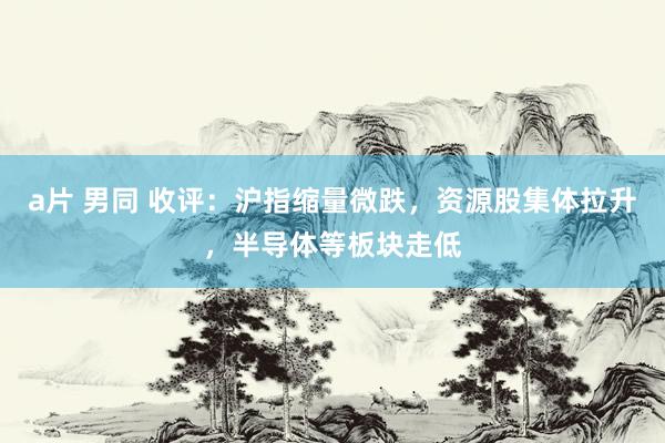 a片 男同 收评：沪指缩量微跌，资源股集体拉升，半导体等板块走低
