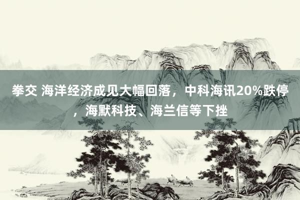 拳交 海洋经济成见大幅回落，中科海讯20%跌停，海默科技、海兰信等下挫