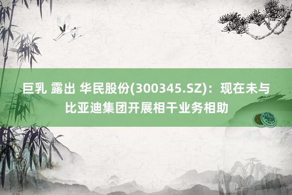 巨乳 露出 华民股份(300345.SZ):现在未与比亚迪集团开展相干业务相助